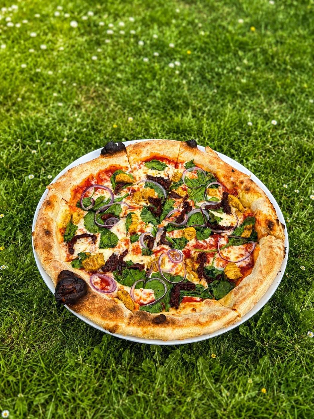 Oferta Pizzerii Paprotki